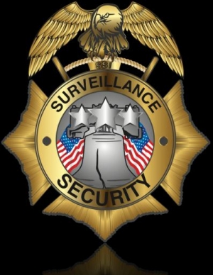 Surveillance Security Inc.